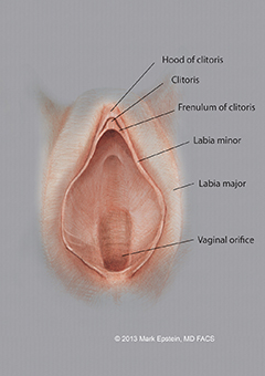 Labiaplasty Long Island Labiaplasty Long Island